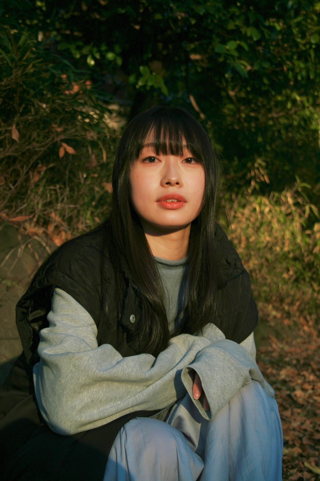 真木香秀