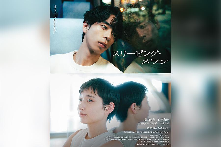スリーピング・スワン