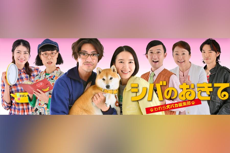 シバのおきて