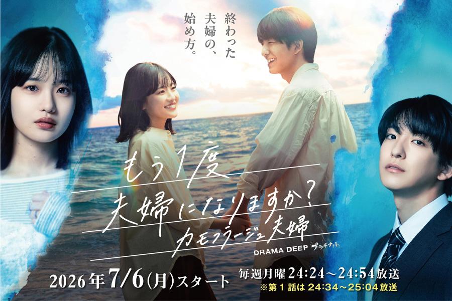 もう1度夫婦になりますか？～カモフラージュ夫婦～